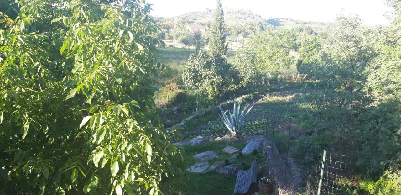 Casa Da Vizinha, Quinta Das Memorias Santo Antonio das Areias Luaran gambar